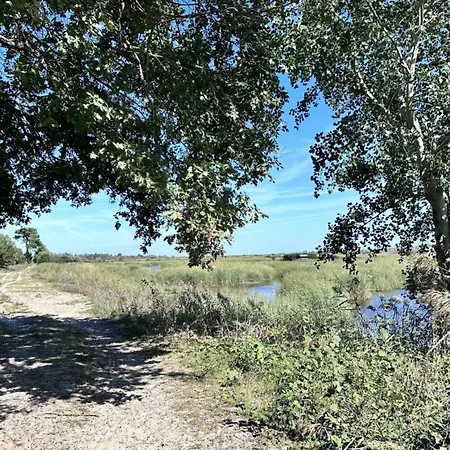 Vila Mimosa - Vue Exceptionnelle Lacanau