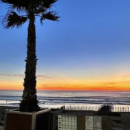 Mimosa - Vue Exceptionnelle