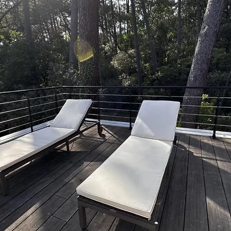 Mimosa - Vue Exceptionnelle Villa