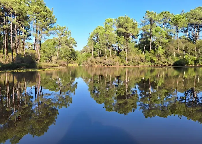 Mimosa - Vue Exceptionnelle Lacanau