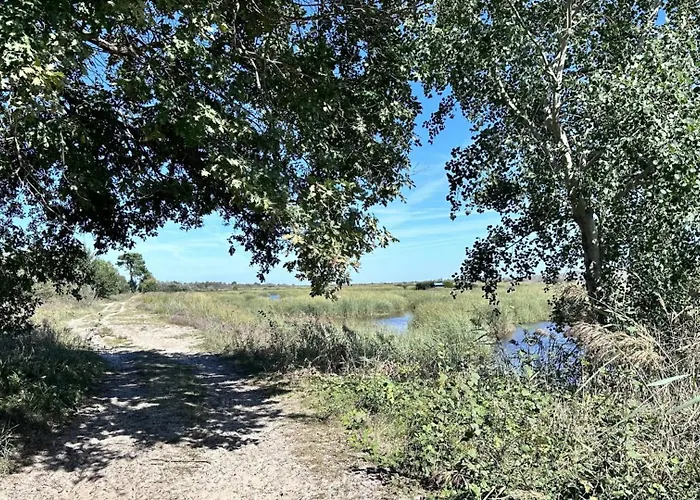 Villa Mimosa - Vue Exceptionnelle Lacanau